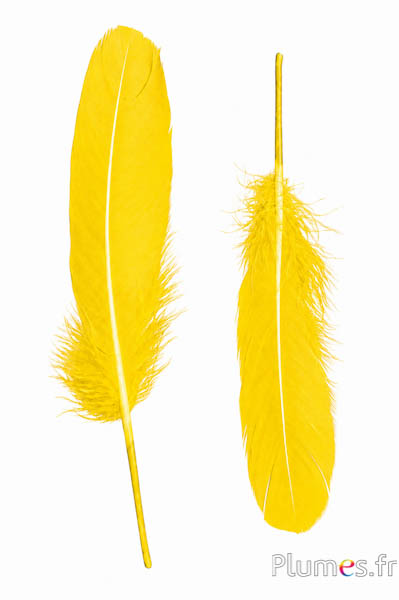 Gans - 15-21 cm, links und rechts - gelb